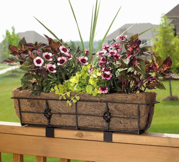 Best ideas about Deck Railing Planters
. Save or Pin Deck Rail & Railing Planters Now.
