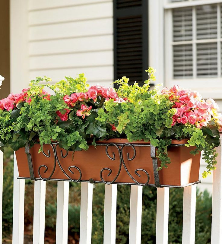 Best ideas about Deck Railing Planters
. Save or Pin Deck Rail Planters Self Watering WoodWorking Projects Now.