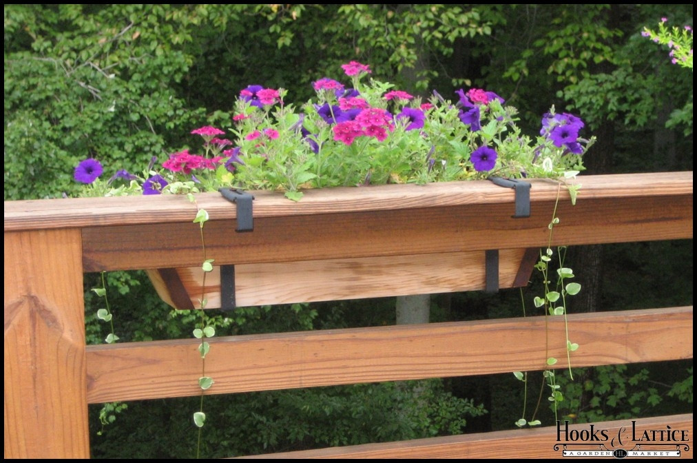 Best ideas about Deck Railing Planters
. Save or Pin Deck Railing Brackets Flowerbox Deck Railing Brackets Now.