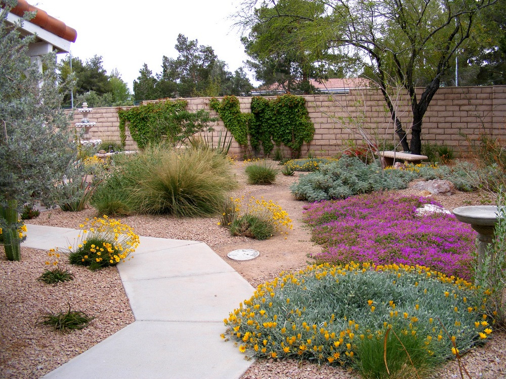 Best ideas about Desert Landscape Plants
. Save or Pin Desert Landscaping Plants Flowers Now.