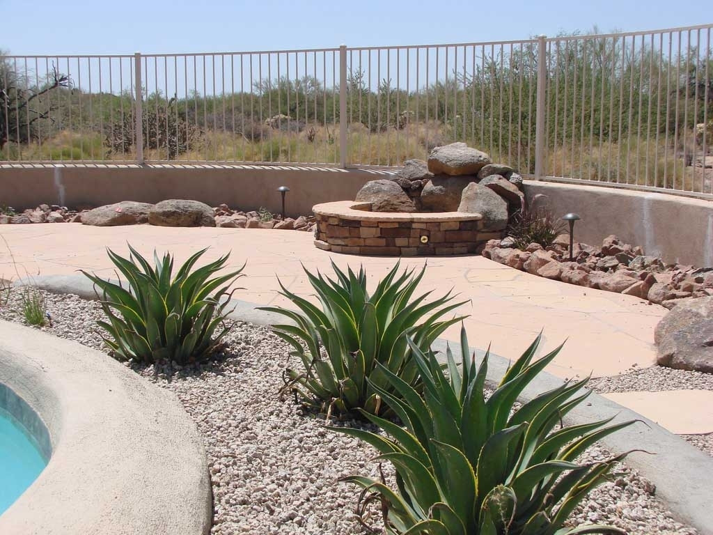 Best ideas about Desert Landscape Plants
. Save or Pin Ideal Desert Landscaping Plants At Home — Bistrodre Porch Now.