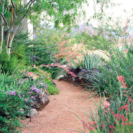 Best ideas about Desert Landscape Plants
. Save or Pin Easy Care Desert Landscaping Ideas Now.