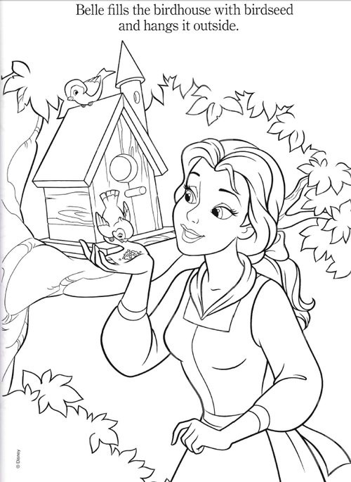 Disney Princess Adult Coloring Book
 Disney Princesses Belle Coloring Pages Disney Coloring