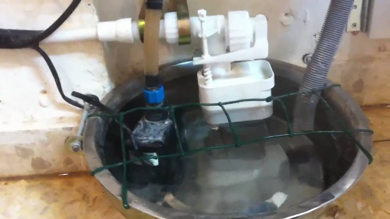 Best ideas about DIY Automatic Dog Waterer
. Save or Pin For Lifehacker Automatic dog waterer Now.