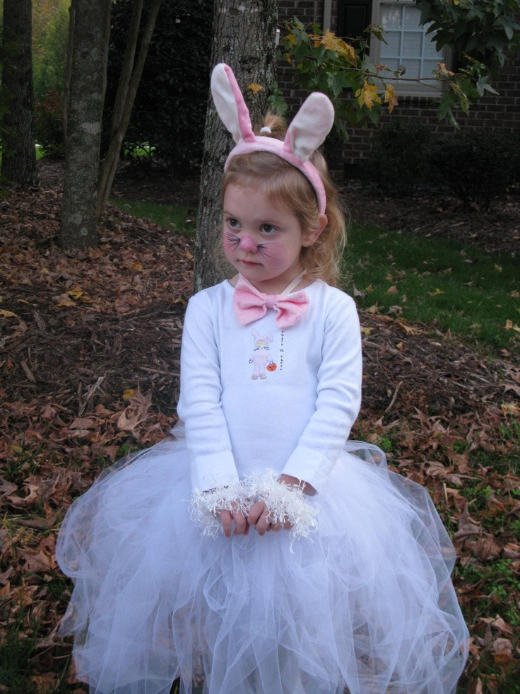 DIY Bunny Costume Toddler
 Bunny Costume idea girl