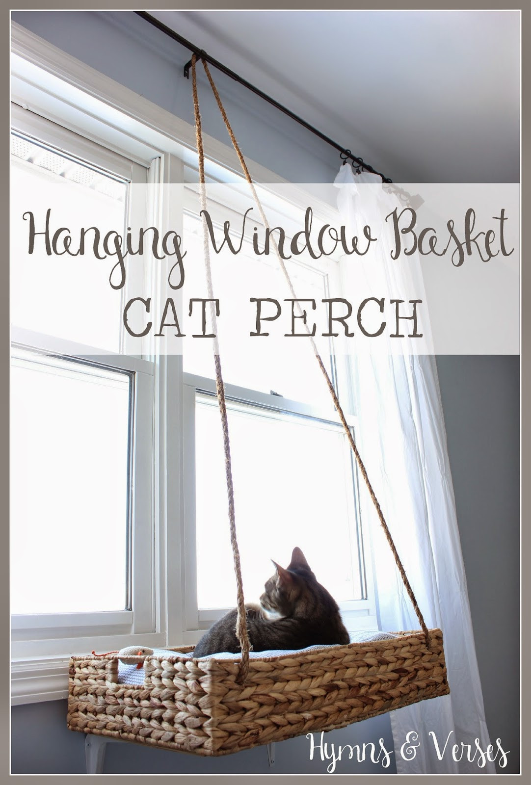 DIY Cat Window Perch
 Hymns and Verses DIY Hanging Window Basket Cat Perch