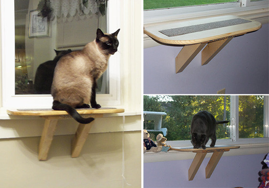 DIY Cat Window Perch
 Perfect Perch Cat Window Seat • hauspanther