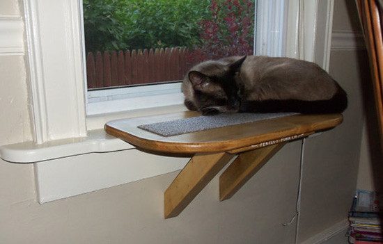 DIY Cat Window Perch
 Perfect Perch Cat Window Seat • hauspanther