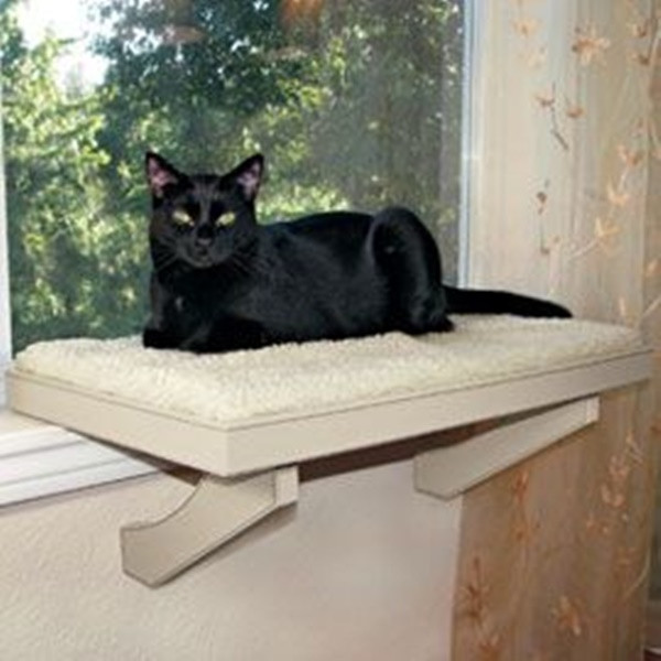 DIY Cat Window Perch
 10 Cool Hanging Cat Perch Ideas Tail and Fur
