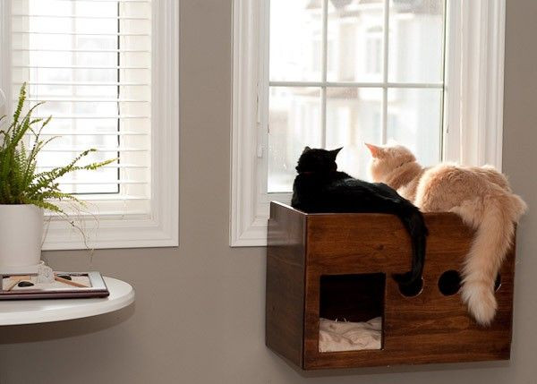DIY Cat Window Perch
 diy cat perch A