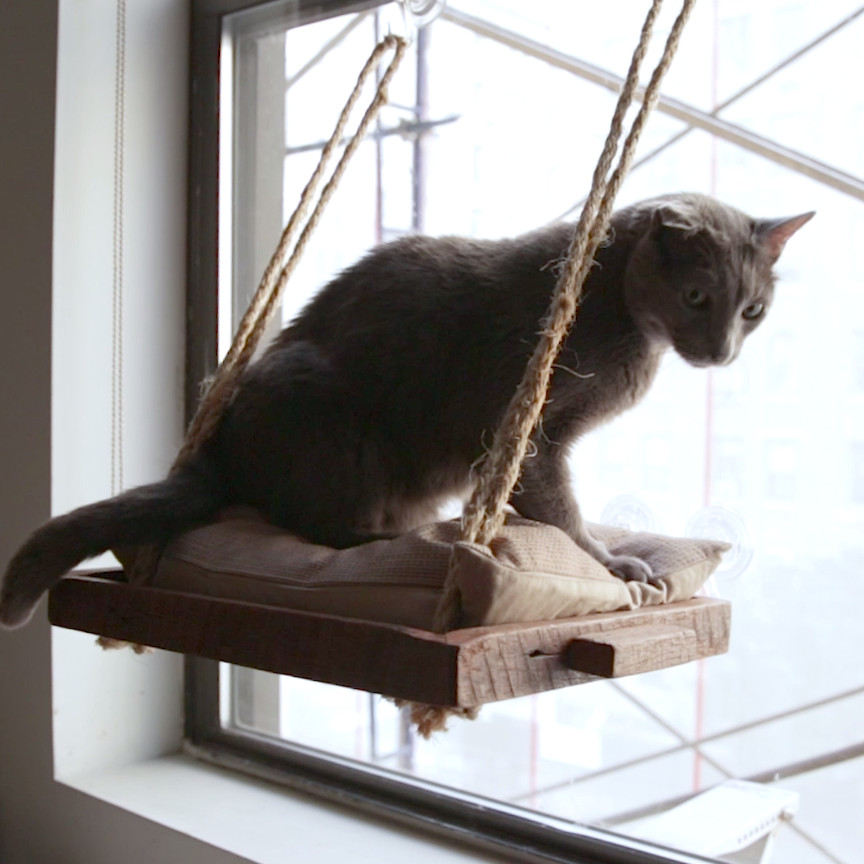 DIY Cat Window Perch
 DIY Cat Window Perch Nifty Pets Pinterest