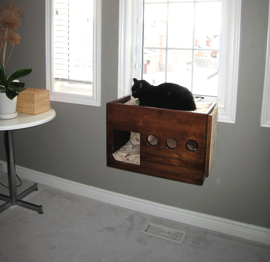 DIY Cat Window Perch
 DIY Box Cat Perch petdiys