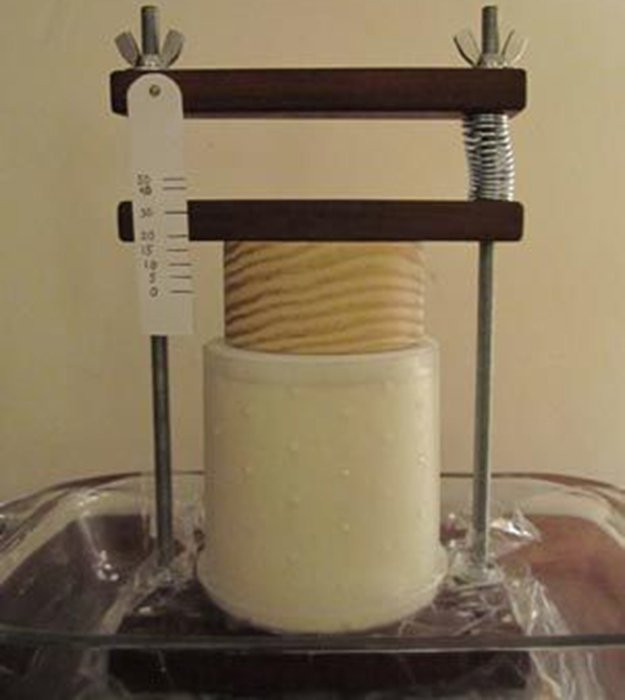 Best ideas about DIY Cheese Press
. Save or Pin 16 Cool Homesteading DIY Projects For Preppers Now.