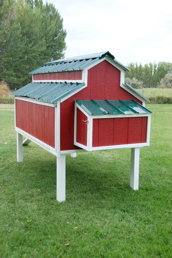 DIY Chicken Coops Plans Free
 Free Plans for an Awesome Chicken Coop The Home Depot