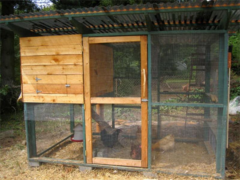 DIY Chicken Coops Plans Free
 Planning & Ideas DIY Chicken Coop Plans How To Build A