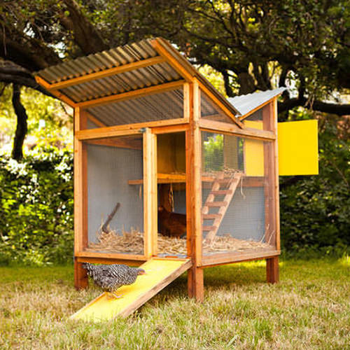 DIY Chicken Coops Plans Free
 DIY Chicken Coops Even Your Neighbors Will Love