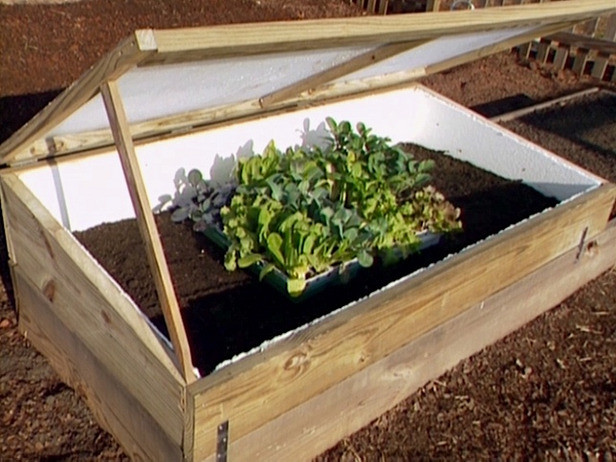 DIY Cold Frame Plans
 10 Easy Cold Frame Plans To Extend The Growing Season