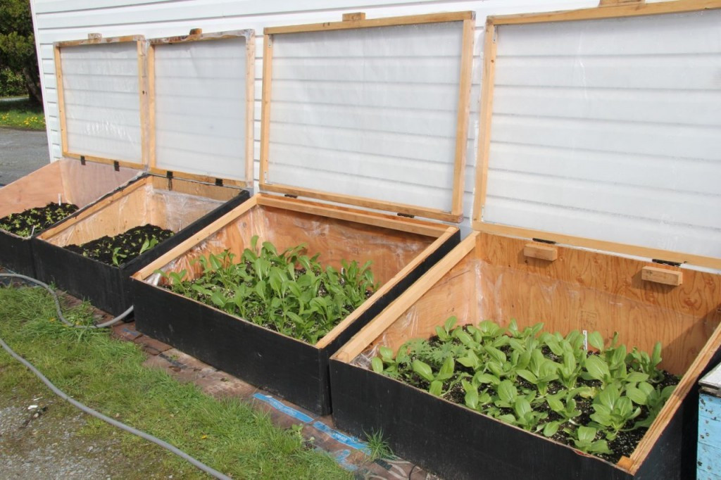 DIY Cold Frame Plans
 How to Build Cold Frames for Your Garden