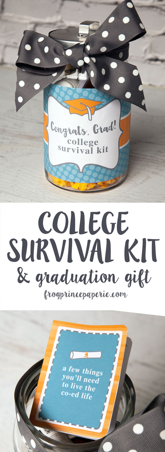 Best ideas about DIY College Graduation Gifts
. Save or Pin College Survival Kit DIY Graduation Gift Frog Prince Paperie Now.