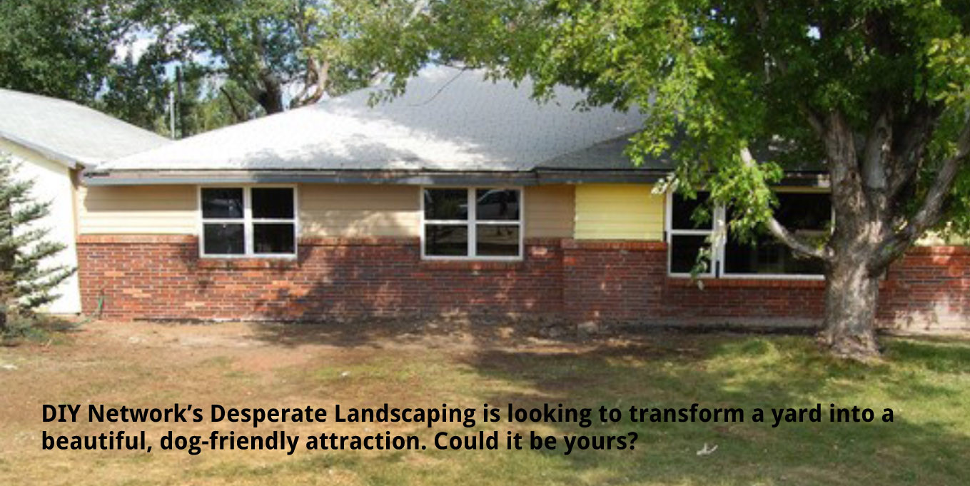 DIY Desperate Landscape
 DIY Network’s Desperate Landscapes