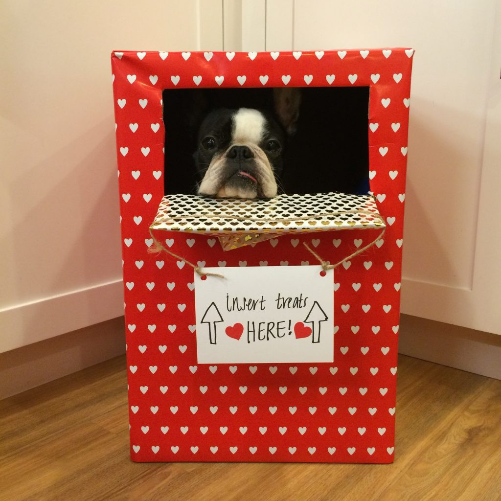 Best ideas about DIY Dog Boxes
. Save or Pin We Tried 9 DIY Valentine s Crafts with Our Dogs—Here s Now.