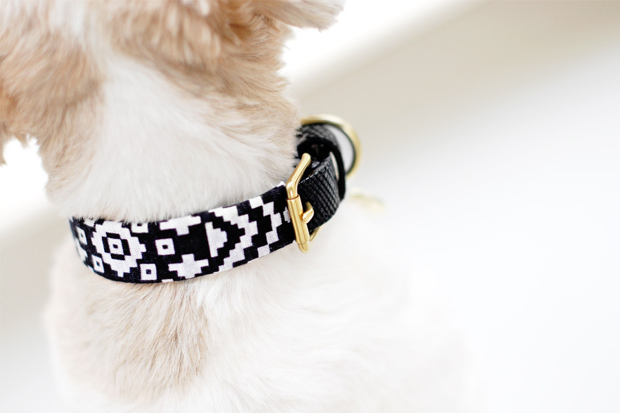 DIY Dog Collar
 Pretty Fluffy