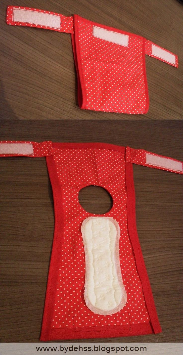 DIY Dog Diaper Pattern
 25 best Dog Diapers ideas on Pinterest