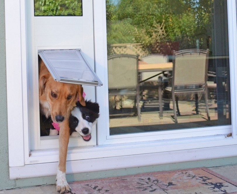 DIY Dog Door Flap
 How to Install A Doggie Door Instructions And DIY Ideas