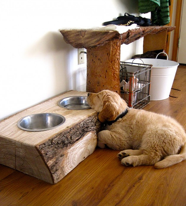 Best ideas about DIY Dog Feeders
. Save or Pin 24 Creative DIY Ideas For Pet Beds And Feeders Now.