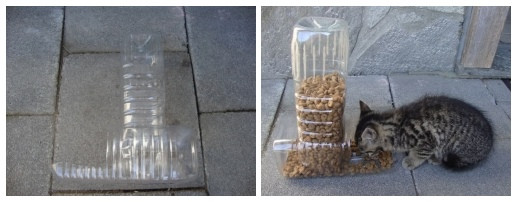 Best ideas about DIY Dog Feeders
. Save or Pin DIY Plastic Bottle Pet Feeder Now.