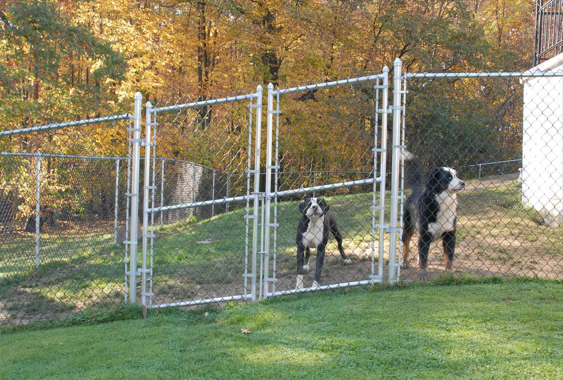 Best ideas about DIY Dog Fence
. Save or Pin Cheap Fence Ideas For Dogs In DIY Reusable And Portable Now.