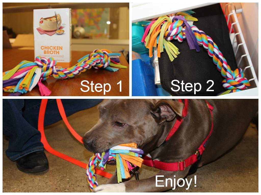 DIY Dog Gifts
 Cruelty Free Gift Ideas For Your Pets From the ASPCA