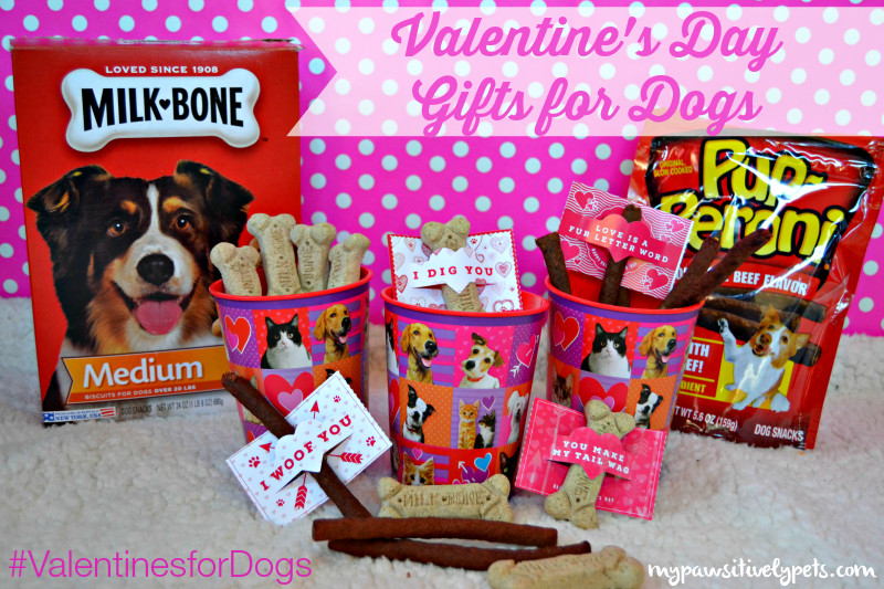 DIY Dog Gifts
 DIY Valentine s Day Gifts for Dogs ValentinesForDogs