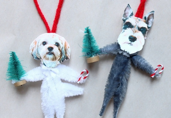 DIY Dog Gifts
 13 DIY Gifts for Dogs and Dog Lovers thegoodstuff