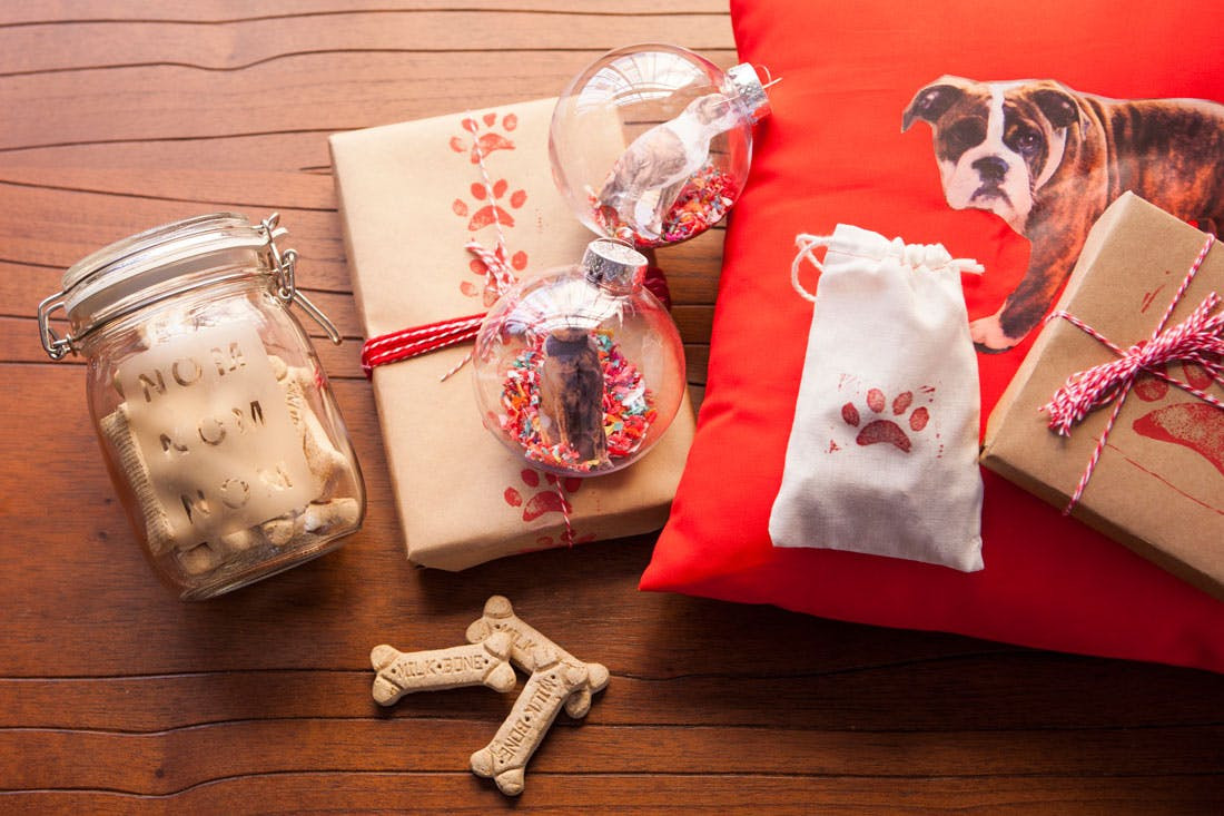 DIY Dog Gifts
 5 Holiday DIY Ideas for Pet Lovers