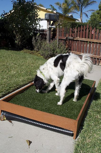 DIY Dog Grass Box
 1000 images about Diy dog porch potty on Pinterest