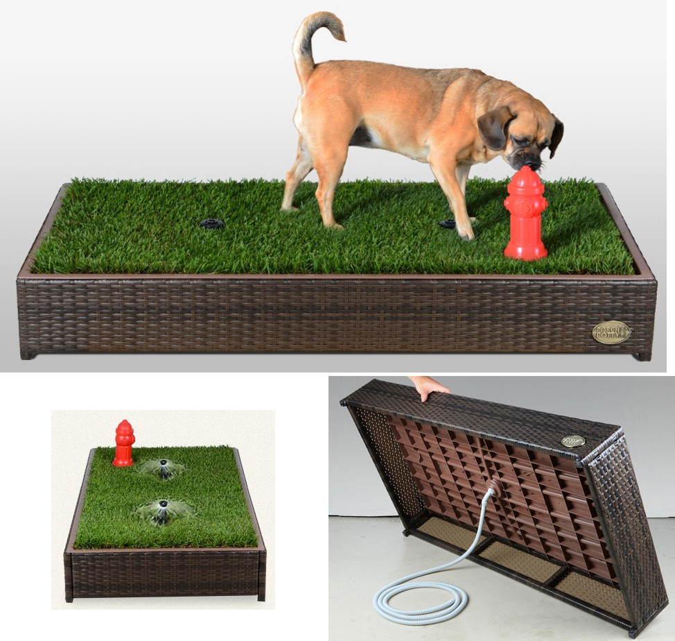 DIY Dog Grass Box
 A grass filled “litter box” for your dog – The Gad eer