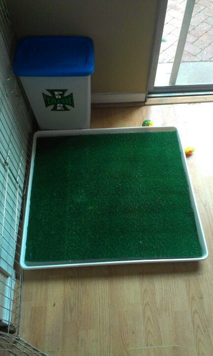 DIY Dog Grass Box
 DIY Potty Patch Washer drip pan mesh grate & synthetic