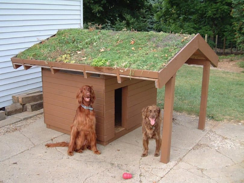 Best ideas about DIY Dog House
. Save or Pin How to Build a Dog House Sort Through the Confusion Now.