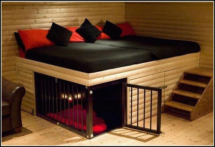 Best ideas about DIY Dog Kennel Indoor
. Save or Pin Diy Indoor Dog Kennel Dog Pet s Gallery brBO4b9k1a Now.