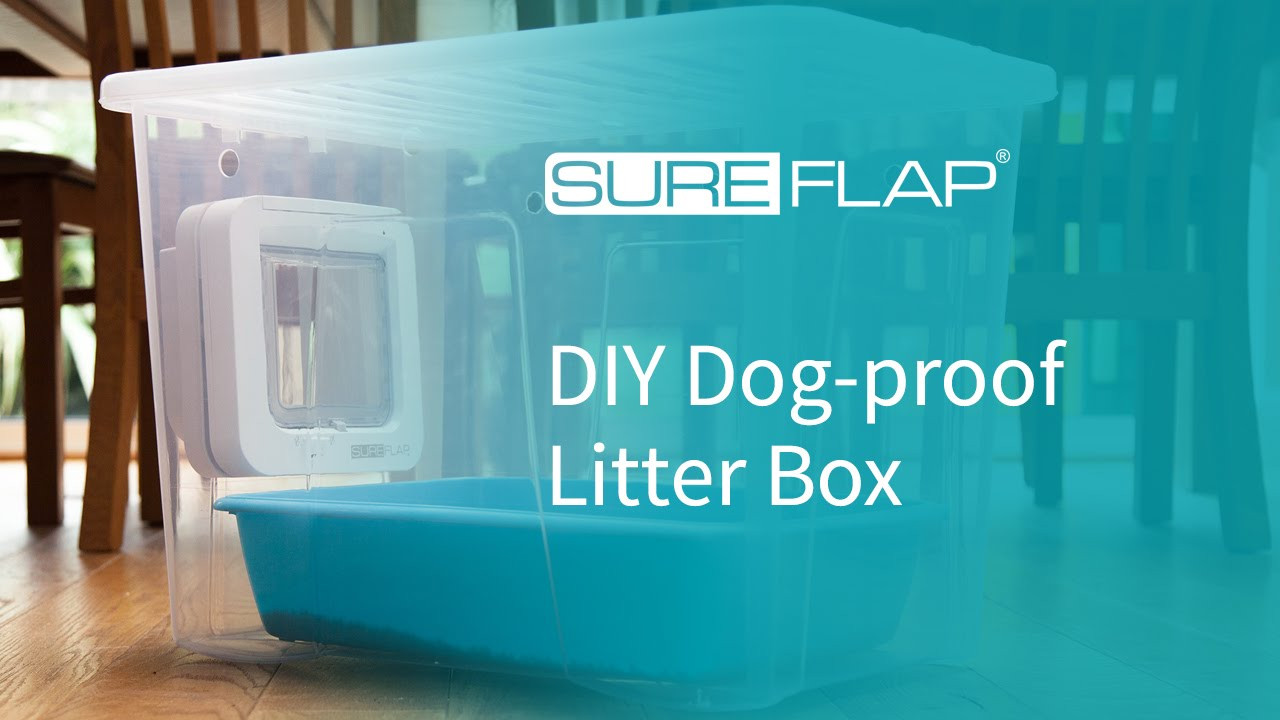 Best ideas about DIY Dog Litter Box
. Save or Pin DIY Dog proof Litter Box from SureFlap Now.