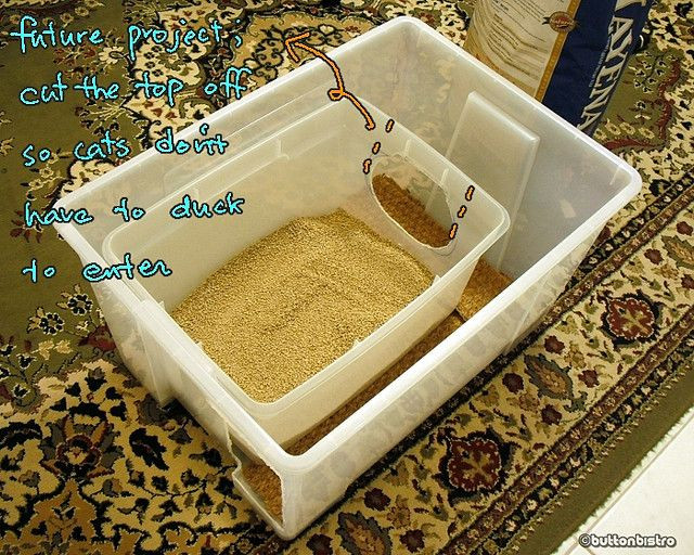 Best ideas about DIY Dog Litter Box
. Save or Pin 25 best ideas about Cat litter boxes on Pinterest Now.
