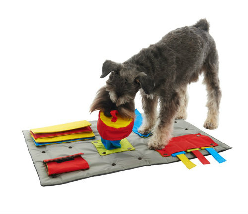 DIY Dog Mental Stimulation Toys
 The BUSTER ActivityMat Is A Problem Solving Interactive