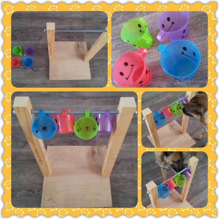 DIY Dog Mental Stimulation Toys
 17 best ideas about Dog Enrichment on Pinterest