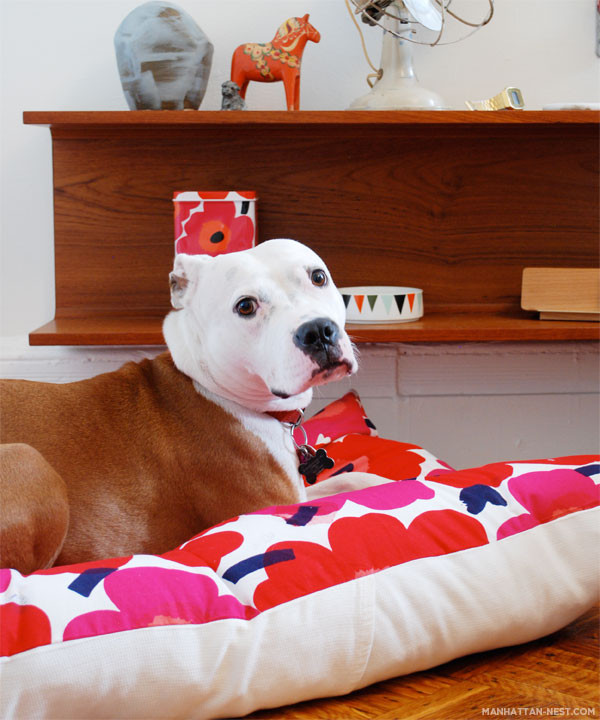 DIY Dog Pillow
 Cool DIY Dog Beds With a Fancy Twist