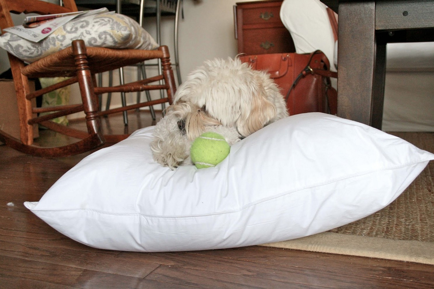 DIY Dog Pillow
 Easy and Affordable DIY Dog Bed Ideas HomeStyleDiary