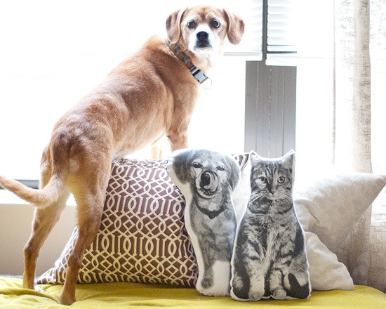 DIY Dog Pillow
 19 DIY Projects for Dog Lovers Barkpost