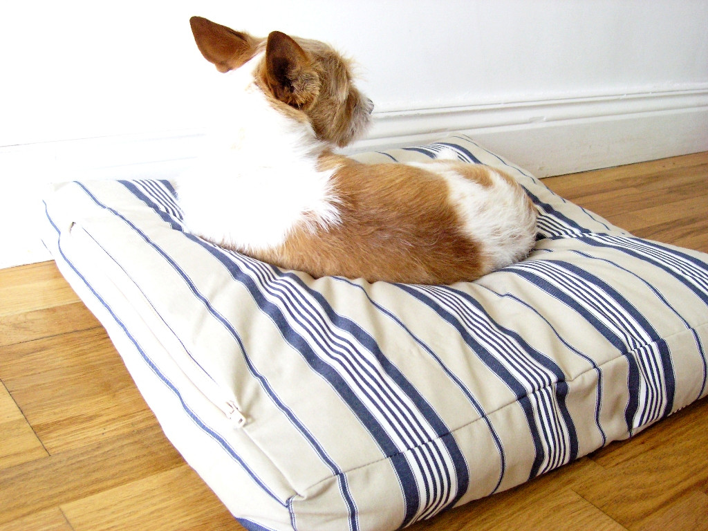 DIY Dog Pillow
 made DIY Dog Bed