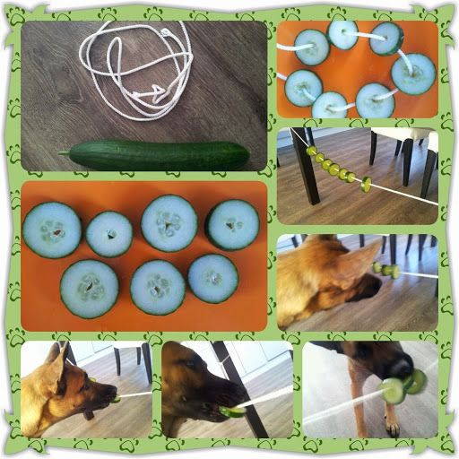 Best ideas about DIY Dog Puzzle
. Save or Pin 112 best DIY Dog Enrichment images on Pinterest Now.