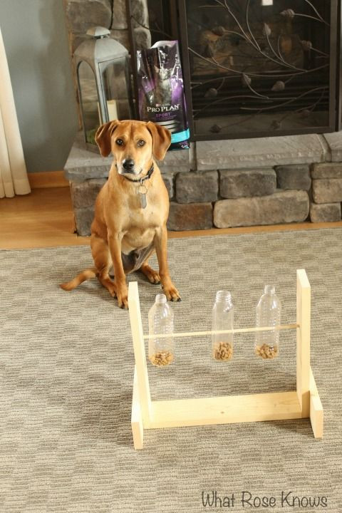 Best ideas about DIY Dog Puzzle
. Save or Pin Easy Treat Dog Food Dispenser Tutorial Purina Pro Plan Now.